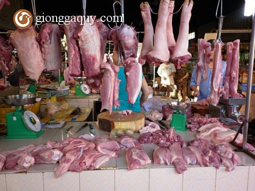 Đồng Nai: Giá heo hơi tăng 4 ngàn đồng/kg