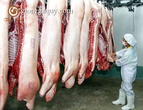 Quy định về kiểm soát giết mổ và kiểm soát thú y