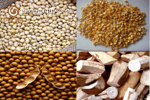 Phương pháp tính giá trị năng lượng trao đổi trong thức ăn hỗn hợp cho gia cầm