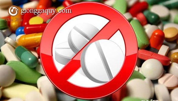 40 loại hóa chất, kháng sinh cấm sử dụng trong sản xuất, kinh doanh động vật
